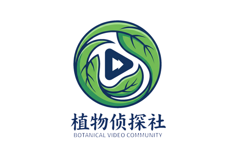 抖阴